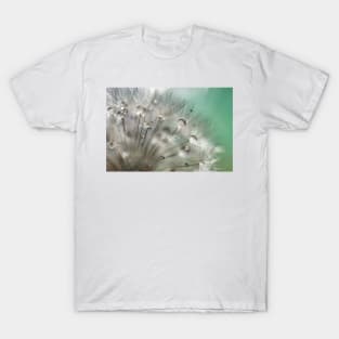 Silver Mint Dandelion T-Shirt